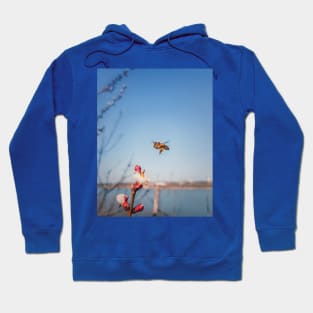 flying Bee Hoodie